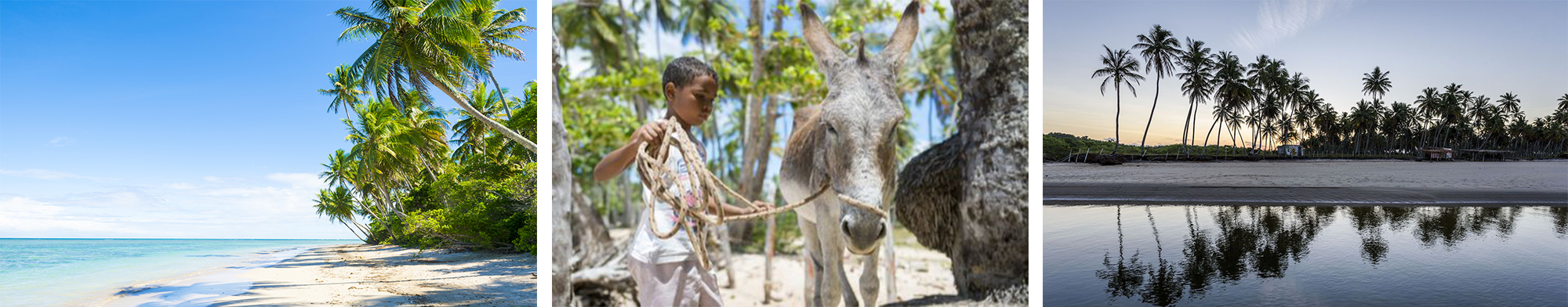 Boipeba au Brésil