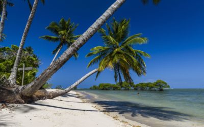 Le TOP 5 des plus belles plages du Brésil…