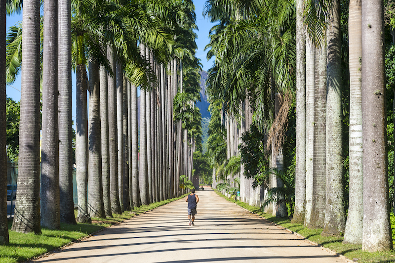 JARDIN BOTANIQUE DE RIO