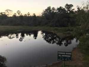 Voyage Pantanal au Brésil