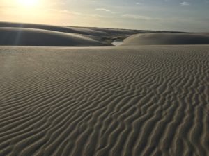 Voyage Nordeste au Brésil