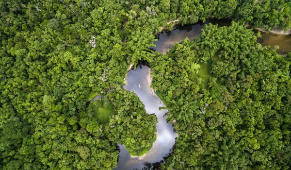 Voyage au coeur de l´Amazonie