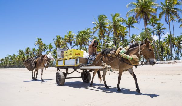 Salvador de Bahia et ses alentours