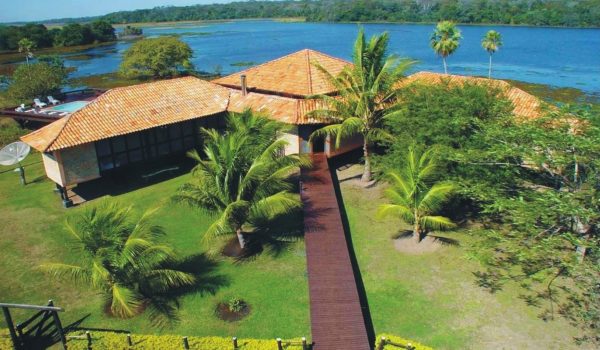 Refuge Ecologique Caiman