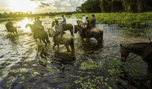 Voyage au Pantanal, Brésil