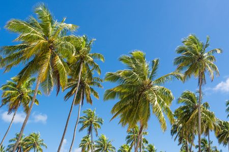 São Miguel dos Milagres